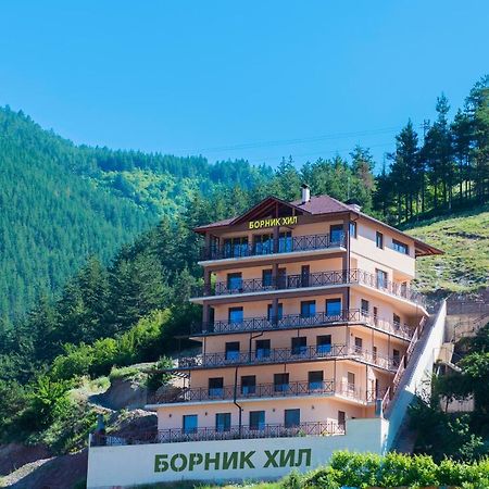 Борник Хил / Bornik Hill Dövlen Dış mekan fotoğraf